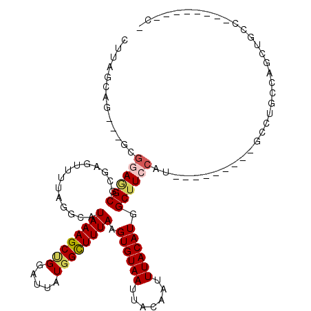 secondary structure