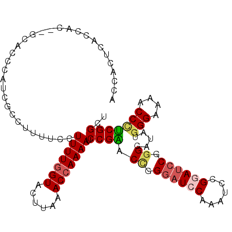 secondary structure