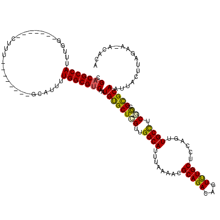 secondary structure