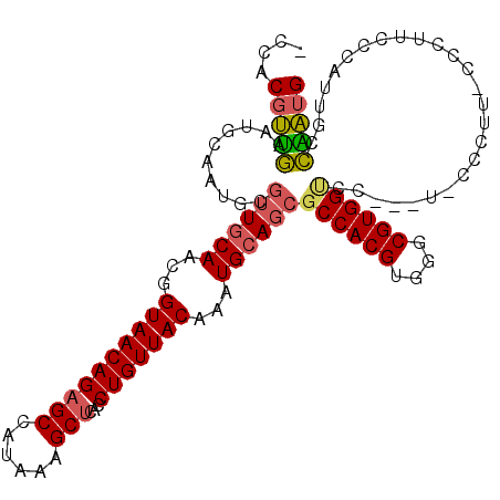 secondary structure