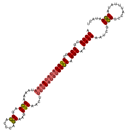 secondary structure