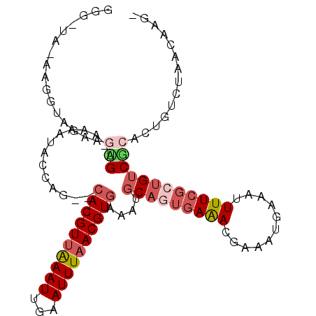 secondary structure