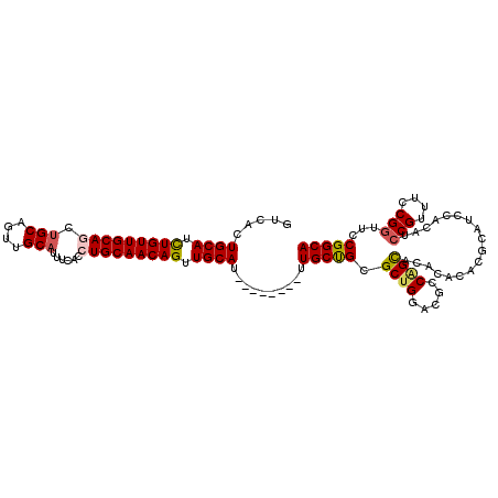 secondary structure