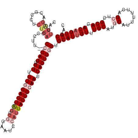 secondary structure