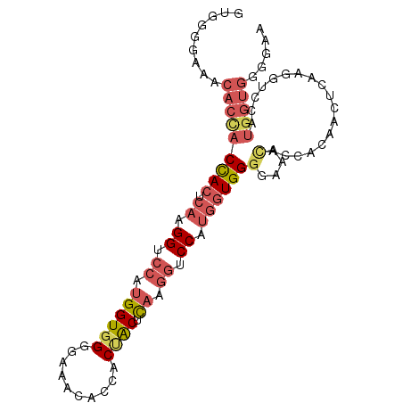 secondary structure