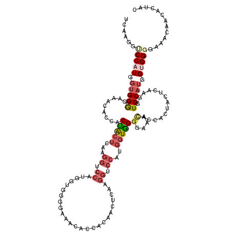 secondary structure