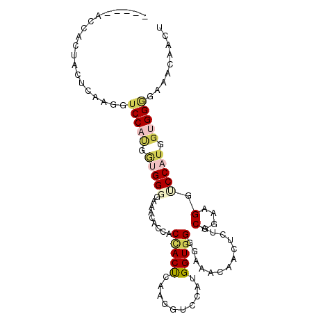 secondary structure
