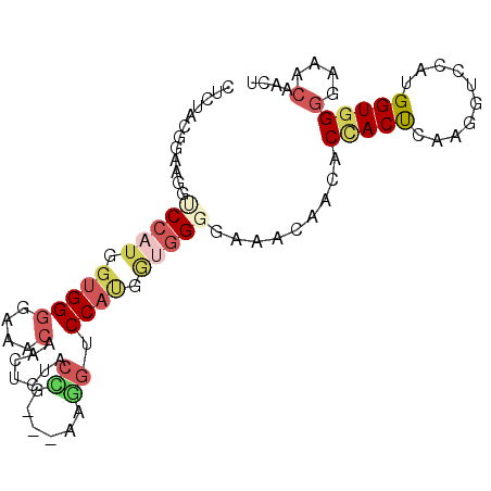 secondary structure