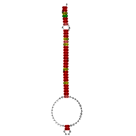 secondary structure