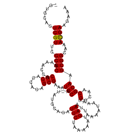 secondary structure