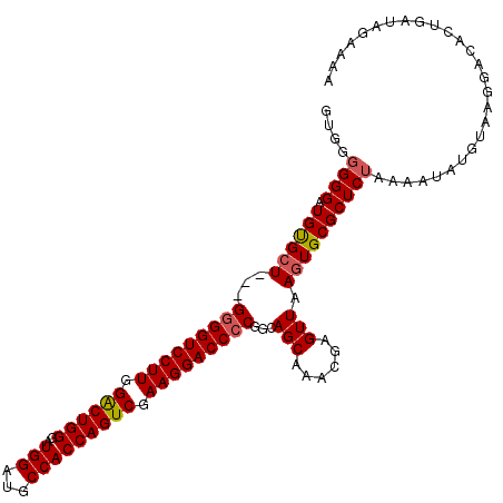 secondary structure