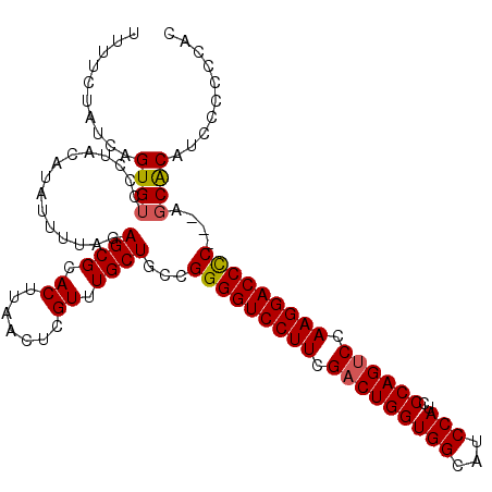 secondary structure