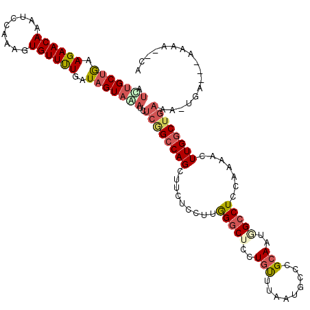 secondary structure