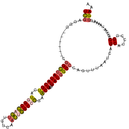 secondary structure