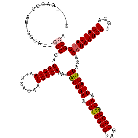 secondary structure