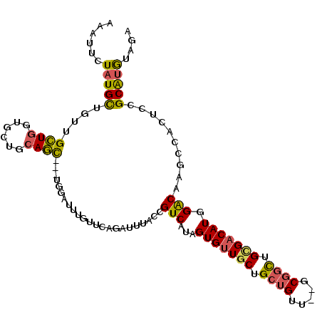 secondary structure