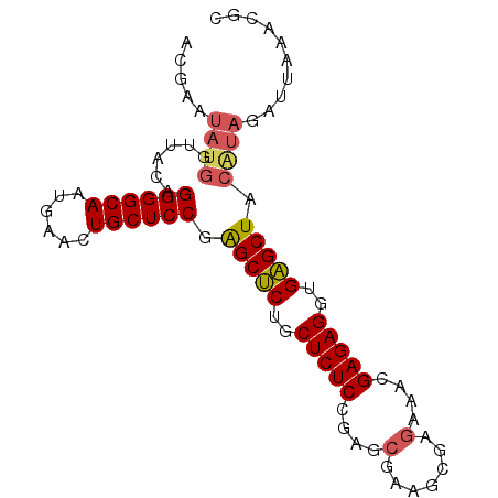 secondary structure