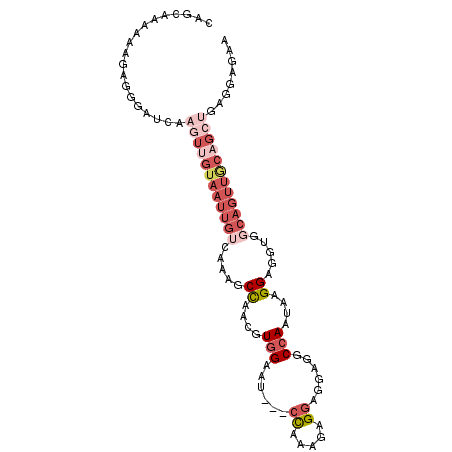 secondary structure