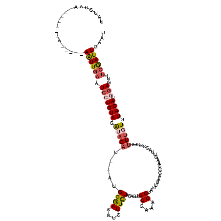 secondary structure