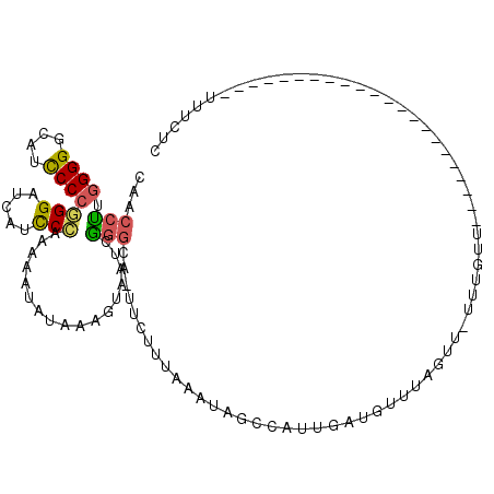 secondary structure