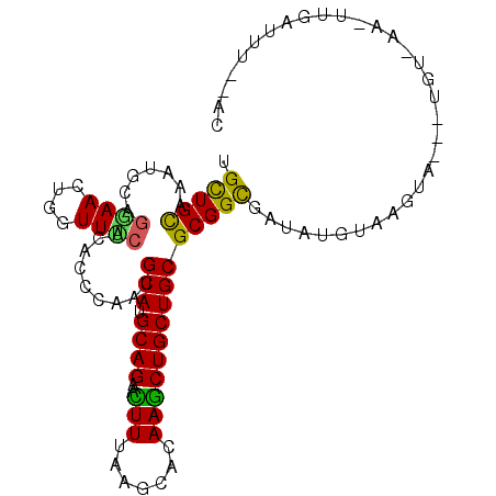 secondary structure