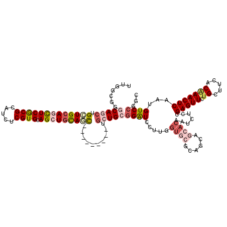 secondary structure