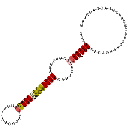 secondary structure