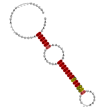 secondary structure