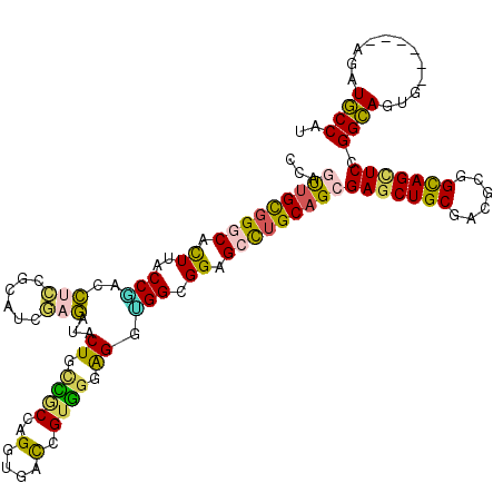 secondary structure