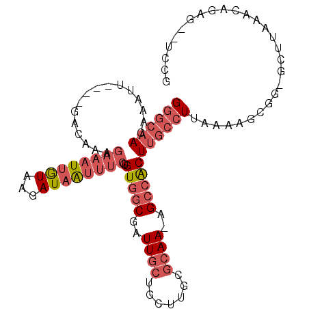 secondary structure