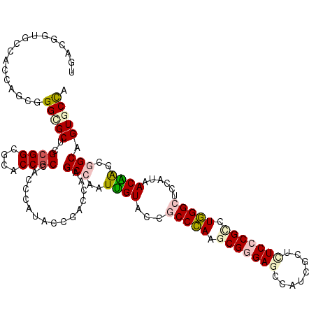 secondary structure