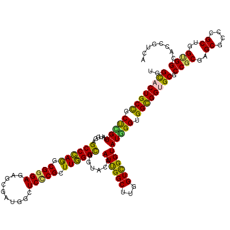 secondary structure