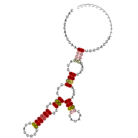 secondary structure
