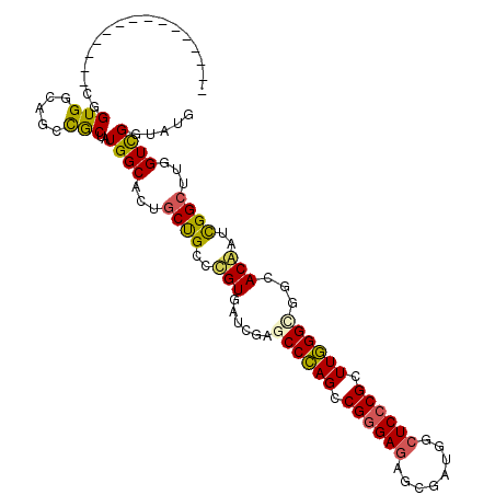 secondary structure