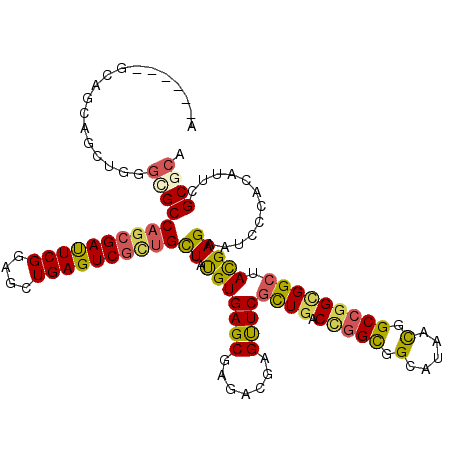 secondary structure