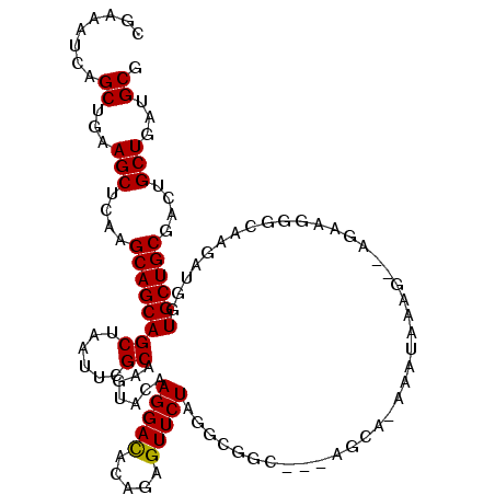 secondary structure