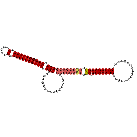 secondary structure
