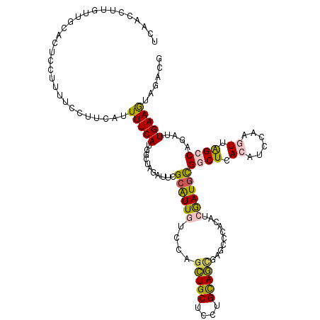 secondary structure