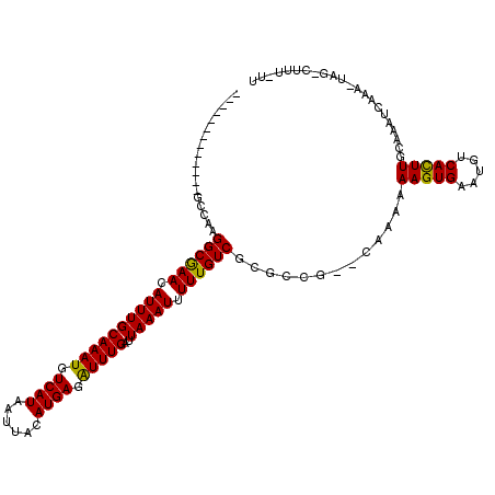 secondary structure