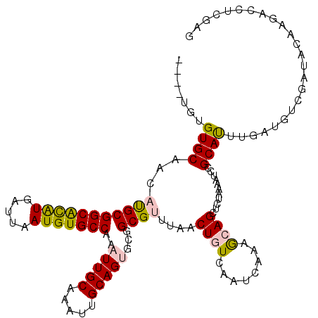 secondary structure