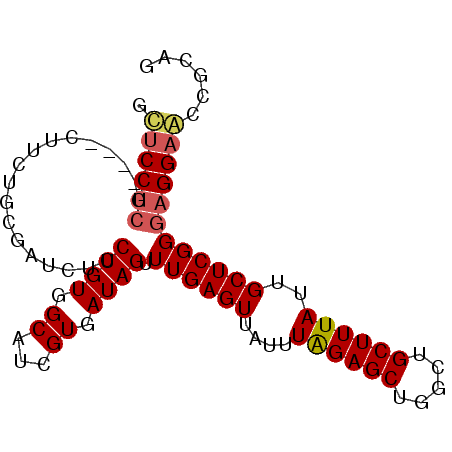 secondary structure