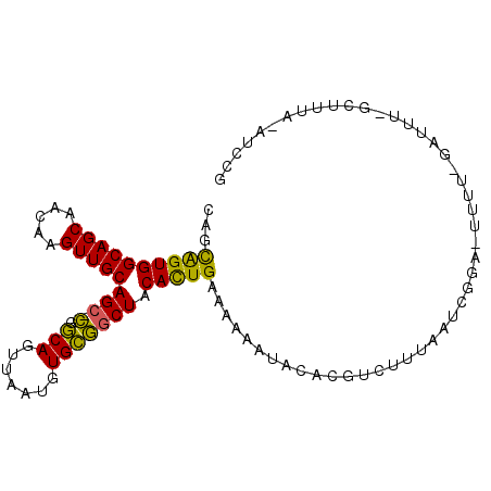 secondary structure