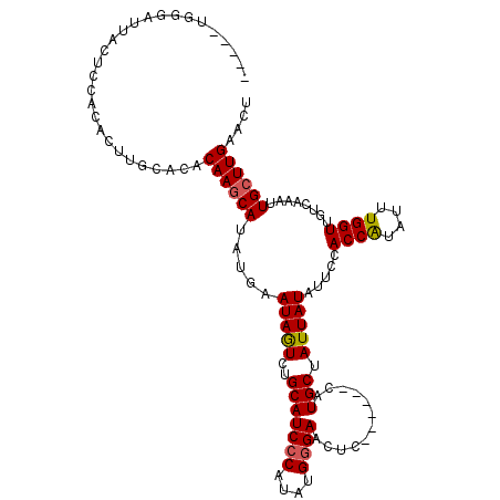 secondary structure