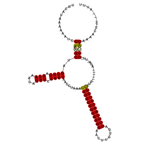 secondary structure