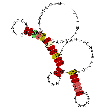 secondary structure