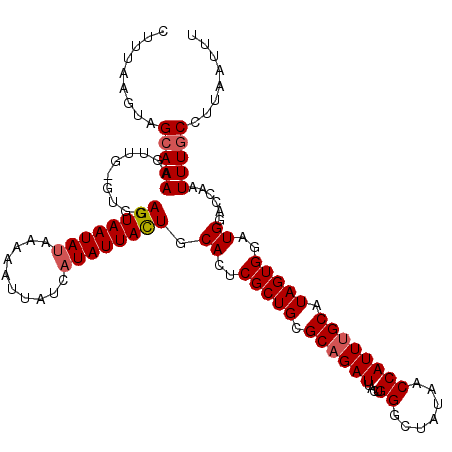 secondary structure