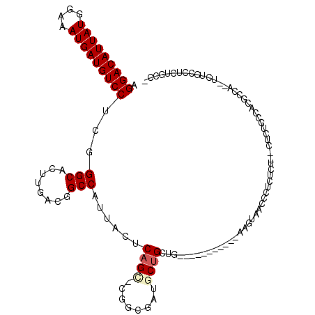 secondary structure