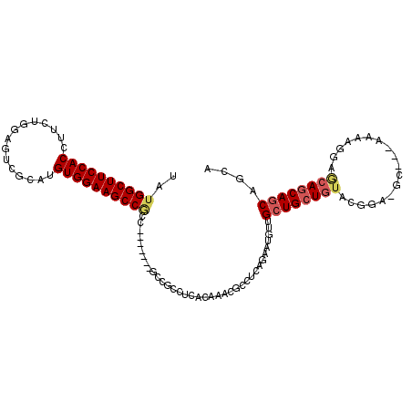 secondary structure