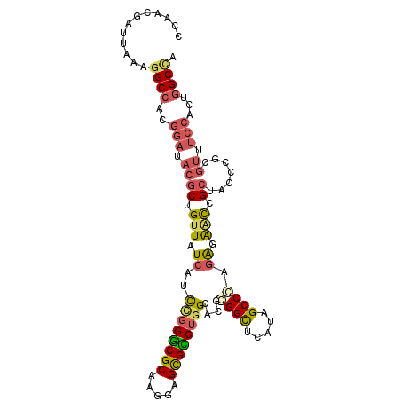 secondary structure