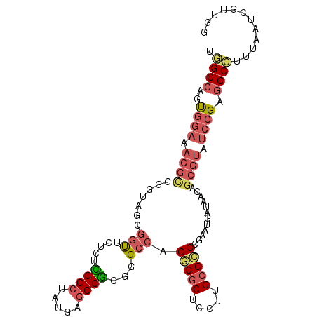 secondary structure